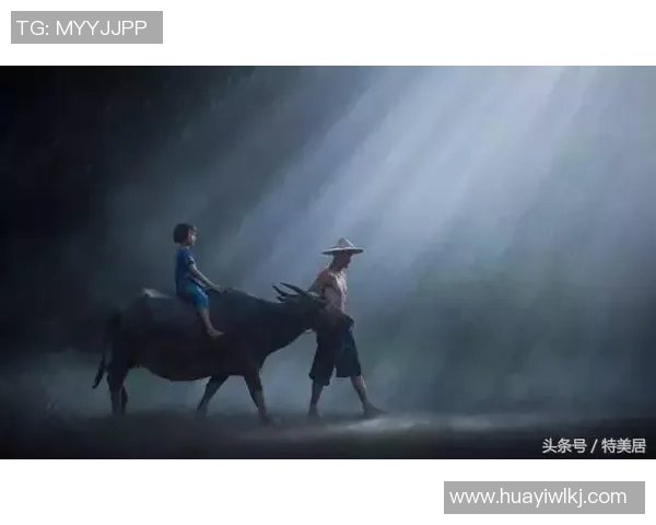 罗森伯格与松达尔激战在即6月26日精彩对决值得期待